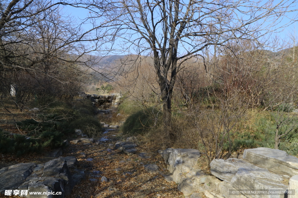 植物园风景