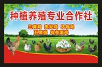 种植养殖专业合作社
