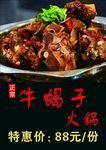 牛蝎子火锅海报