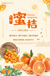 新鲜蜜桔海报设计