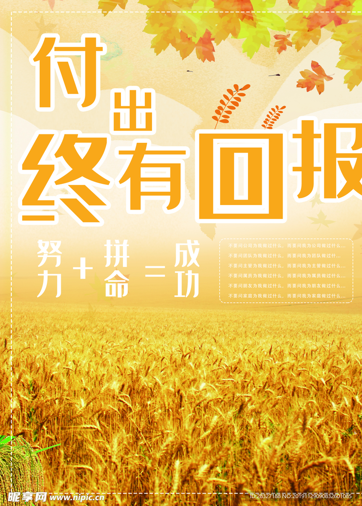 建设新农村