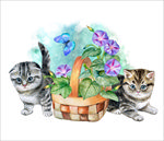 小猫插画