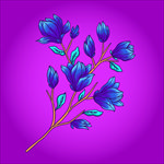 花卉