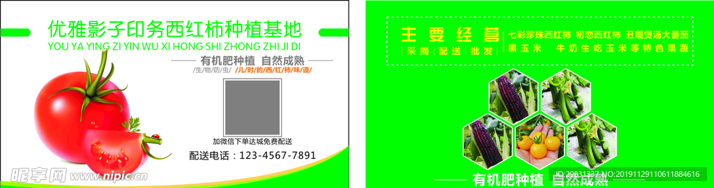 西红柿蔬菜水果种植配送名片