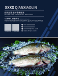 鱼名片