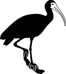野生动物系列 鹳