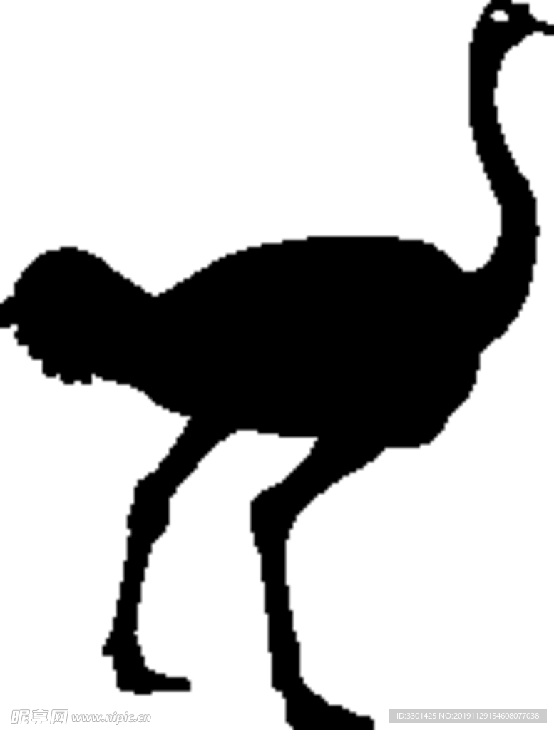 野生动物系 非洲鸵鸟