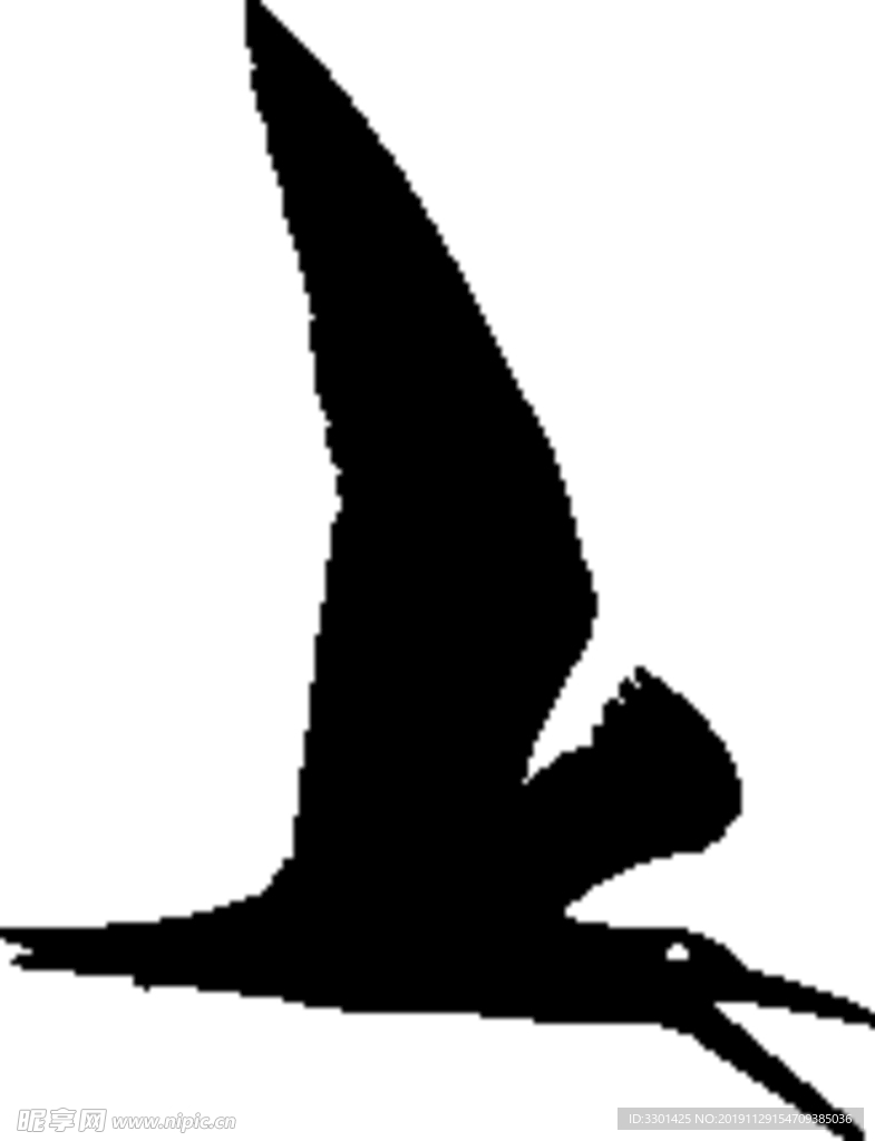 野生动物系列 海鸟