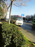 公交车