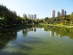 桃花潭公园