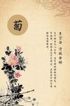 菊花中国风海报素材
