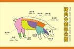 猪肉分割图