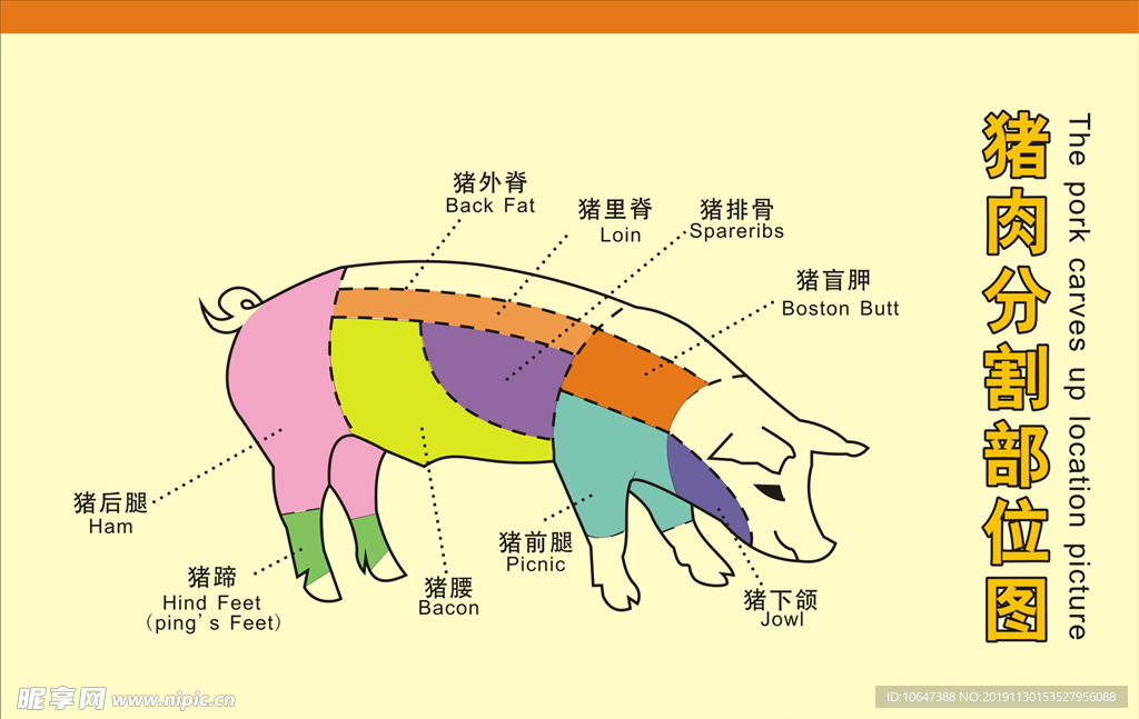 猪肉分割图