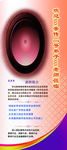 易拉宝讲师海报