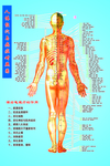 人体穴位图