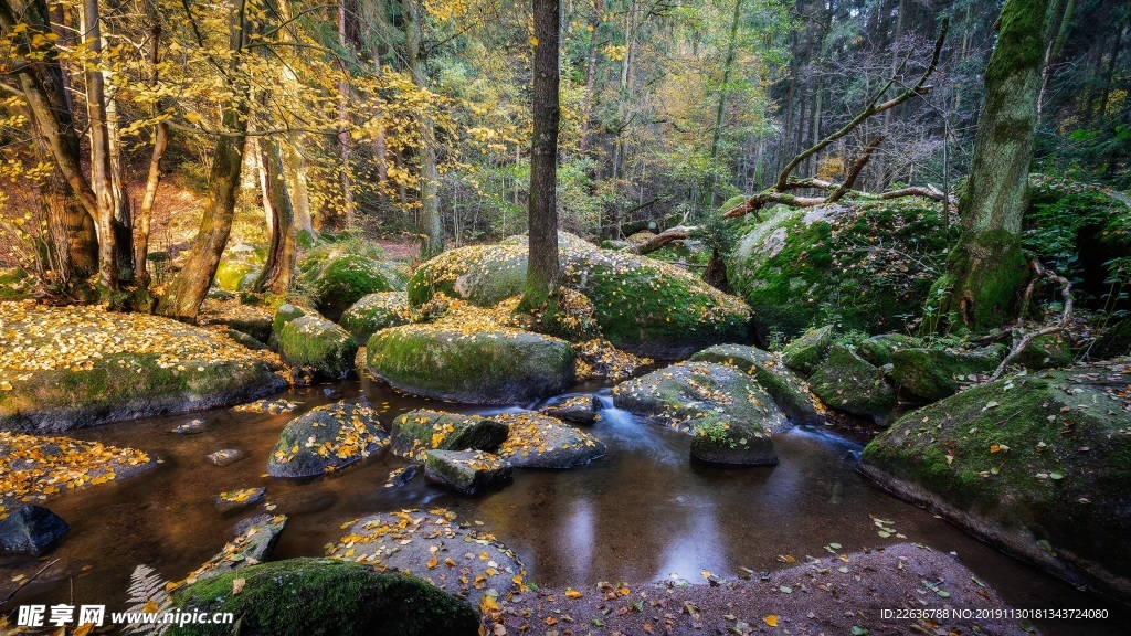 风景