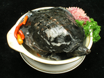 砂钵甲鱼