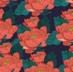 花卉