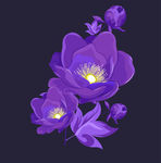 花卉