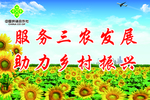 乡村振兴标语