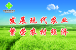 乡村振兴标语