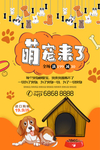 宠物店单页海报图片
