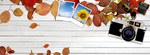 简约秋天促销海报banner