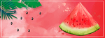 西瓜促销海报banner
