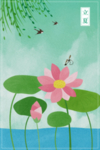 夏季荷花立夏节气海报