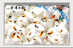 金玉满堂