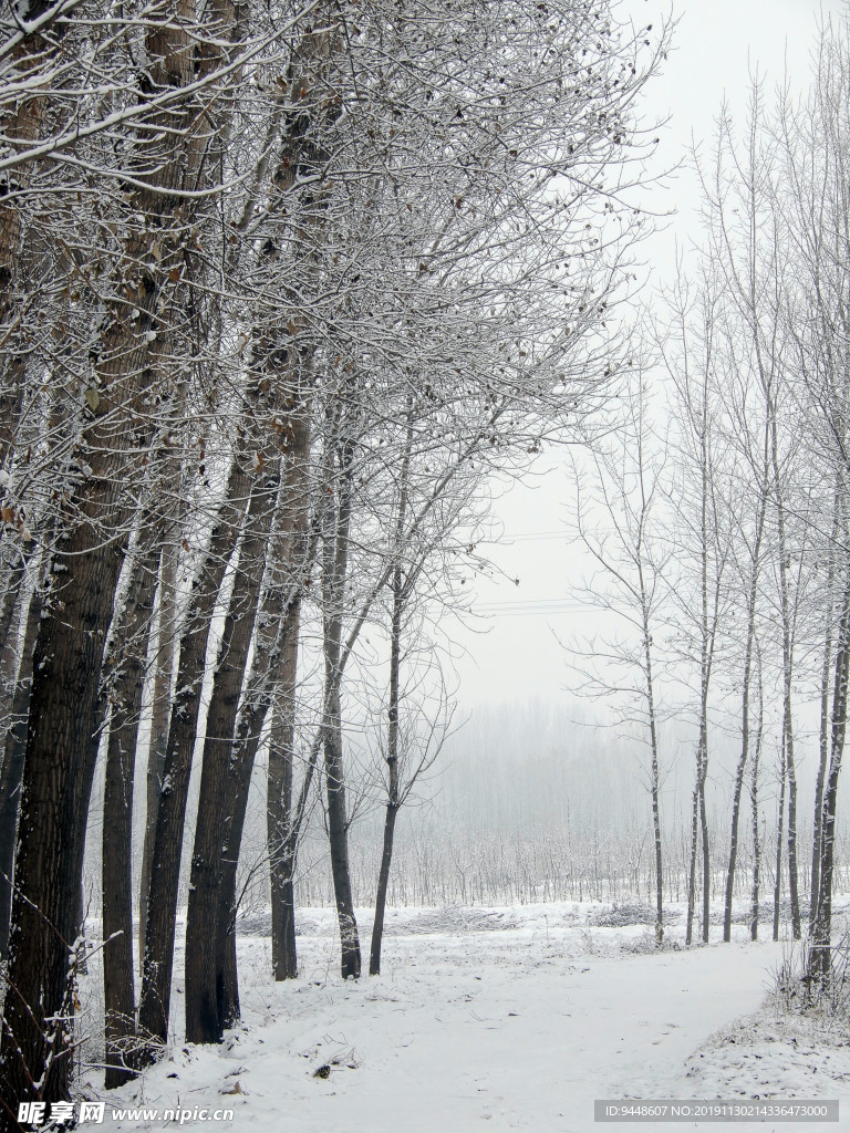 雪景