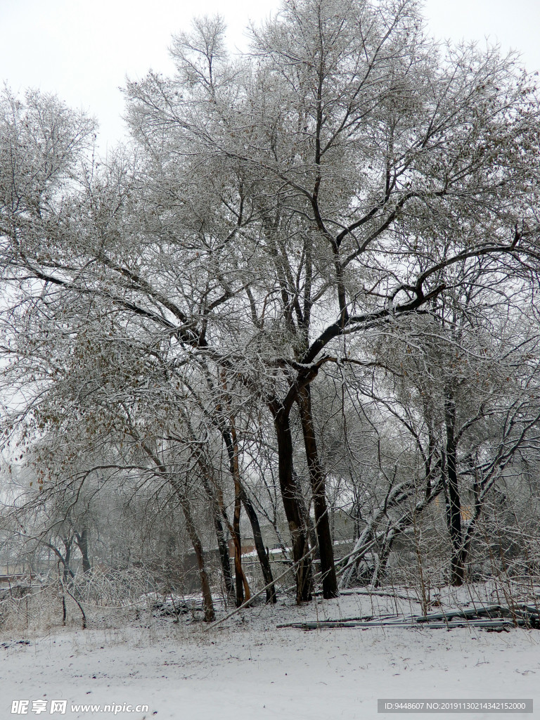 雪景