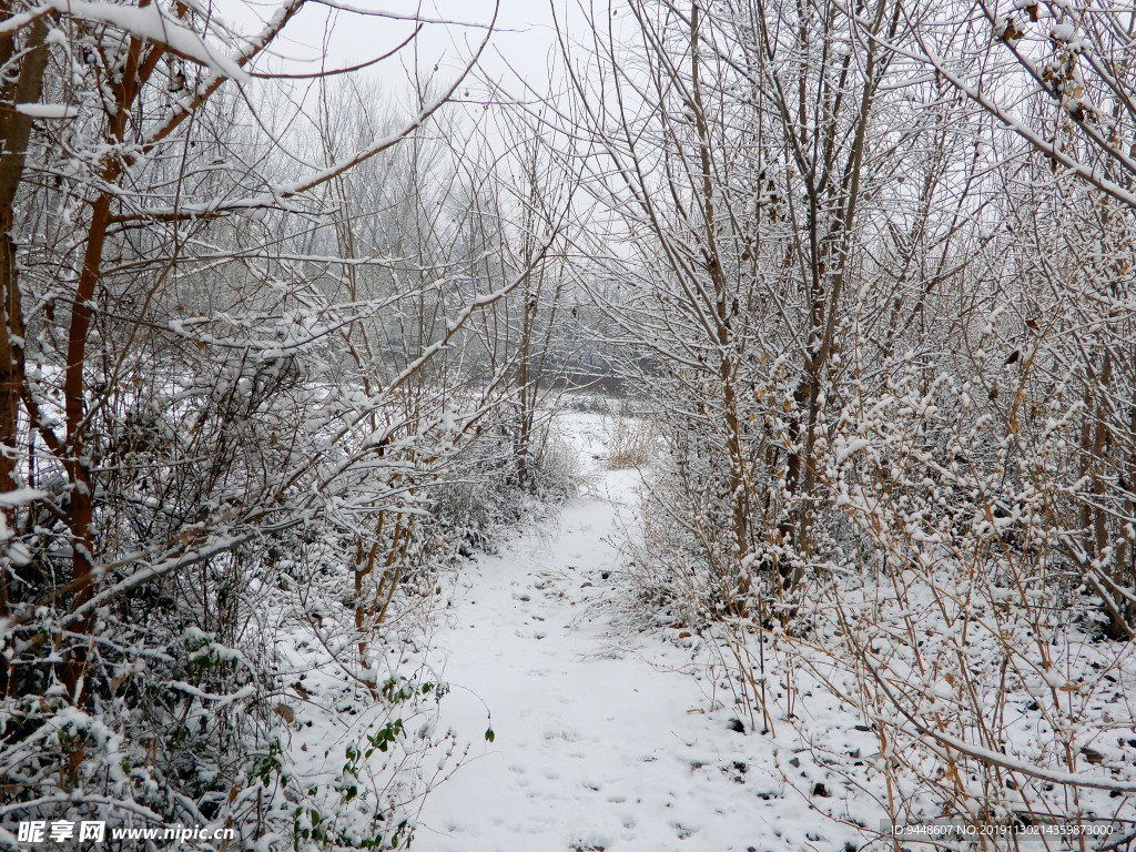 雪景