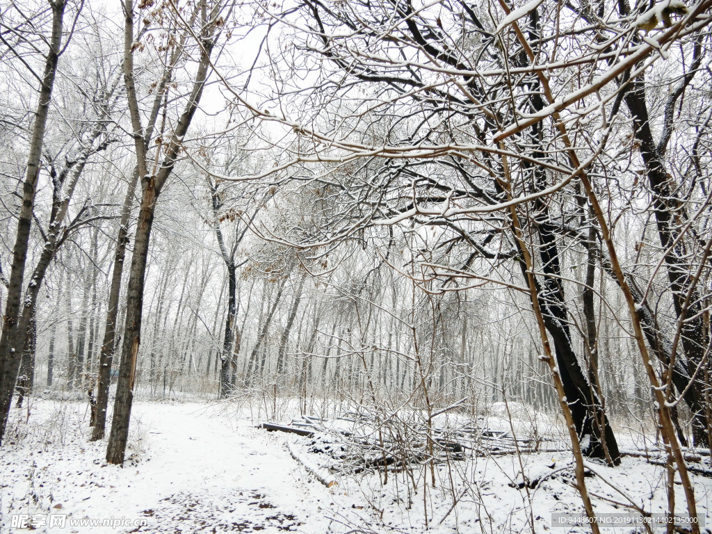 雪景