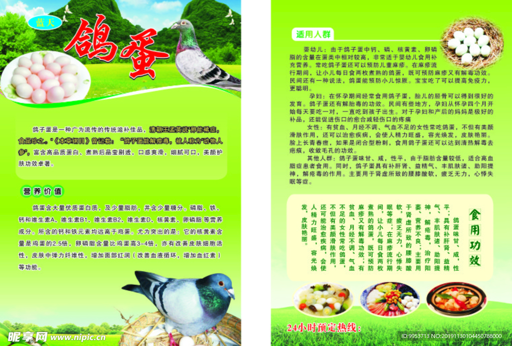鸽蛋彩页