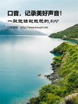 移动互联网软件项目推广