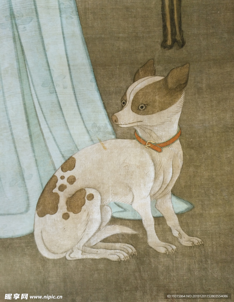 狗