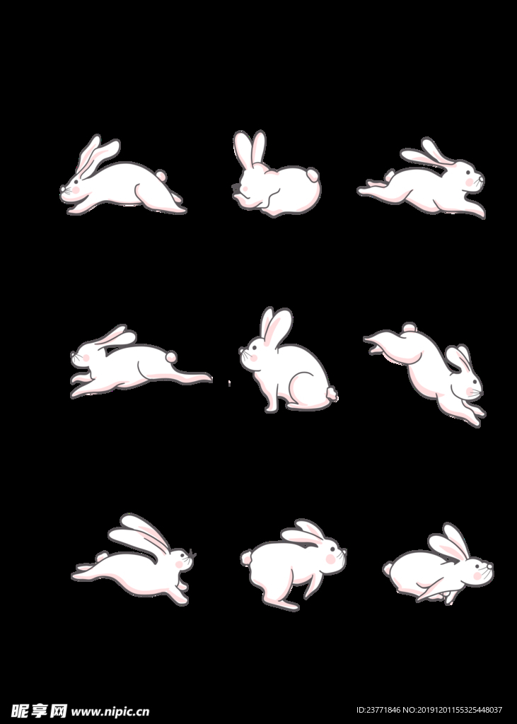 兔子