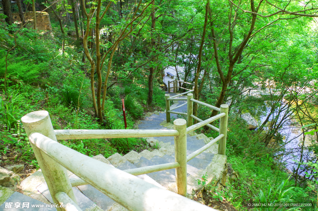 白色石阶 山林风光