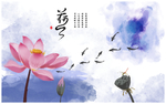 荷花