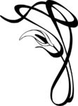 花边纹样