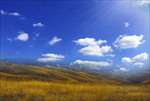 山