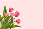 花卉