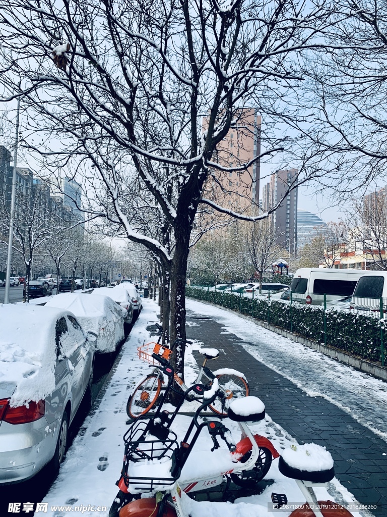 雪后街景