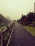 路