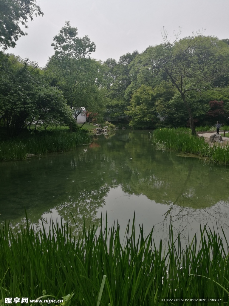 水