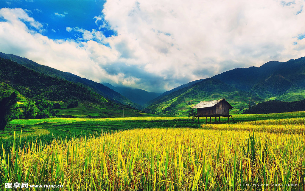 风景