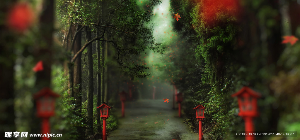 风景