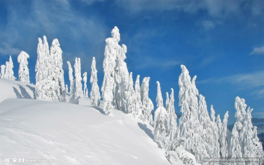 雪景