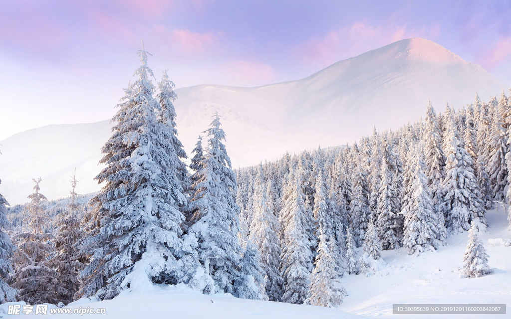 雪景